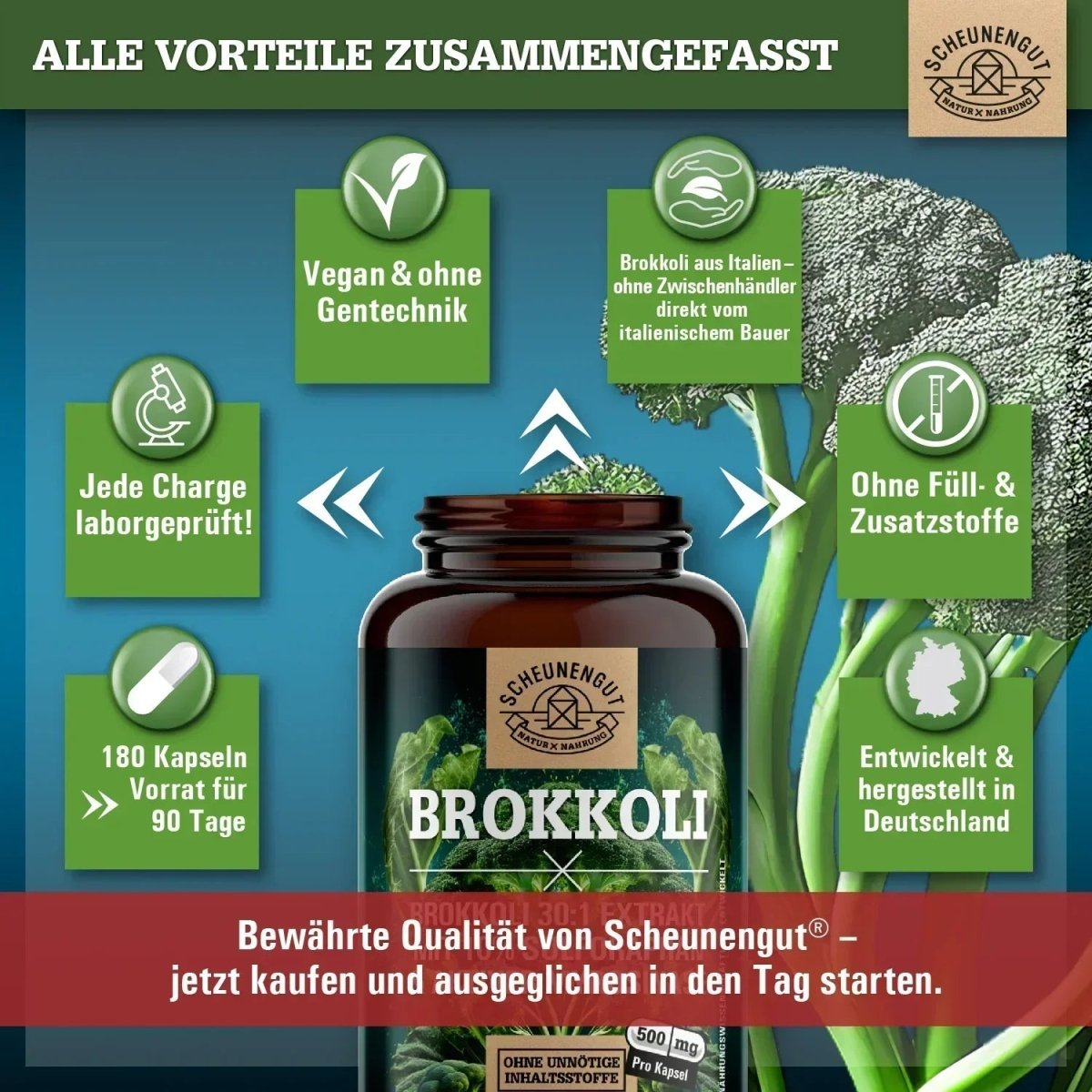 Natürliche Sulforaphan Quelle (mindestens 10%) mit aktiver Myrosinase Scheunengut - Shop