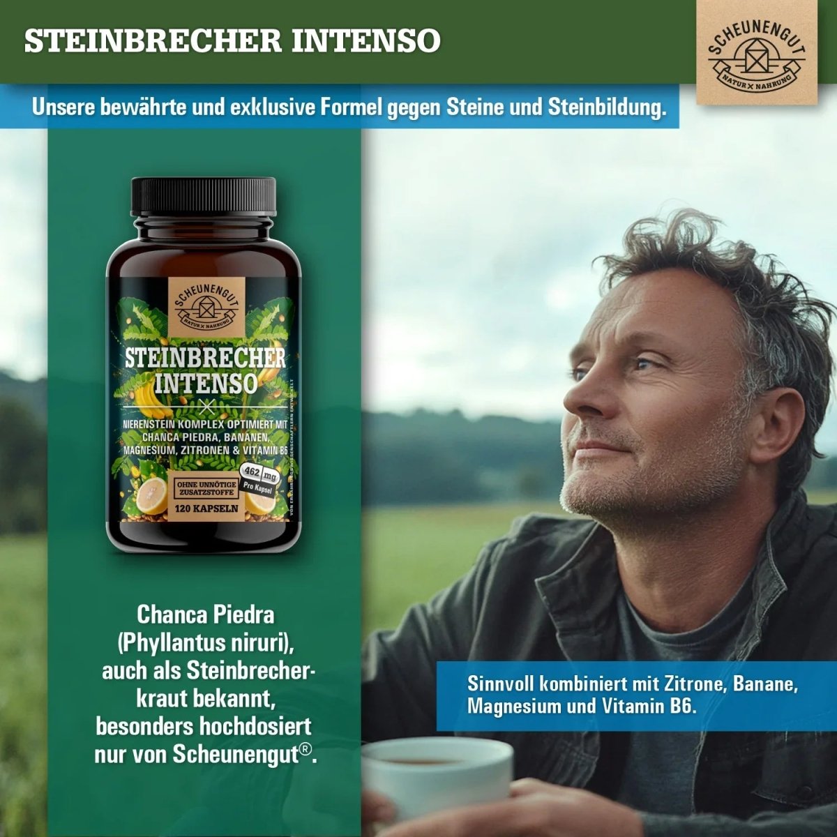 Nierenstein - Kompelx mit Chanca Piedra, Banane, Zitrone, Vitamin B6 und Magnesium Scheunengut - Shop