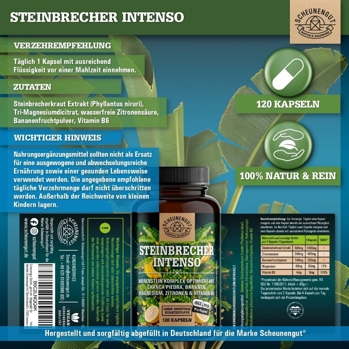 Nierenstein - Kompelx mit Chanca Piedra, Banane, Zitrone, Vitamin B6 und Magnesium Scheunengut - Shop