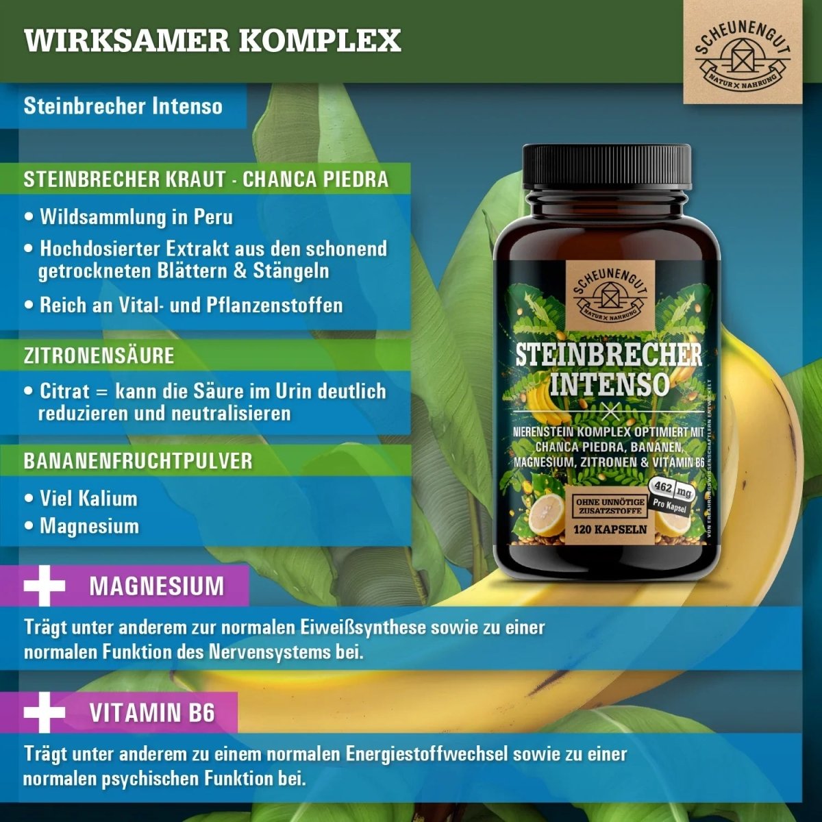 Nierenstein - Kompelx mit Chanca Piedra, Banane, Zitrone, Vitamin B6 und Magnesium Scheunengut - Shop