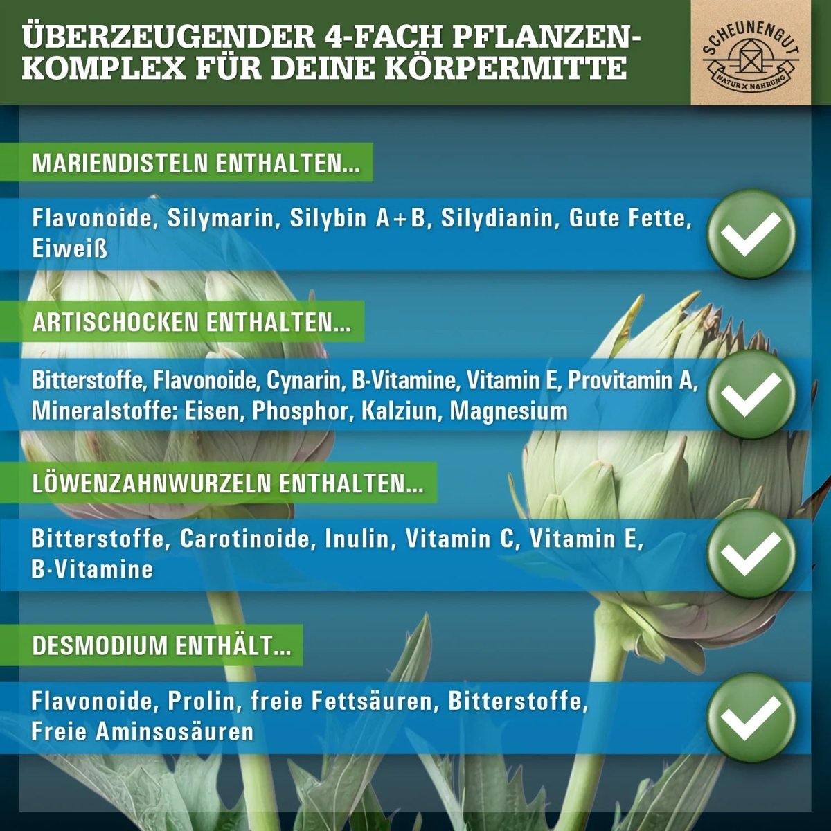 Pflanzen - Komplex mit Mariendistel, Artischocke, Löwenzahnwurzel und Desmodium Scheunengut - Shop
