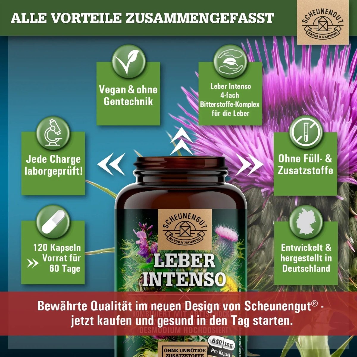 Pflanzen - Komplex mit Mariendistel, Artischocke, Löwenzahnwurzel und Desmodium Scheunengut - Shop