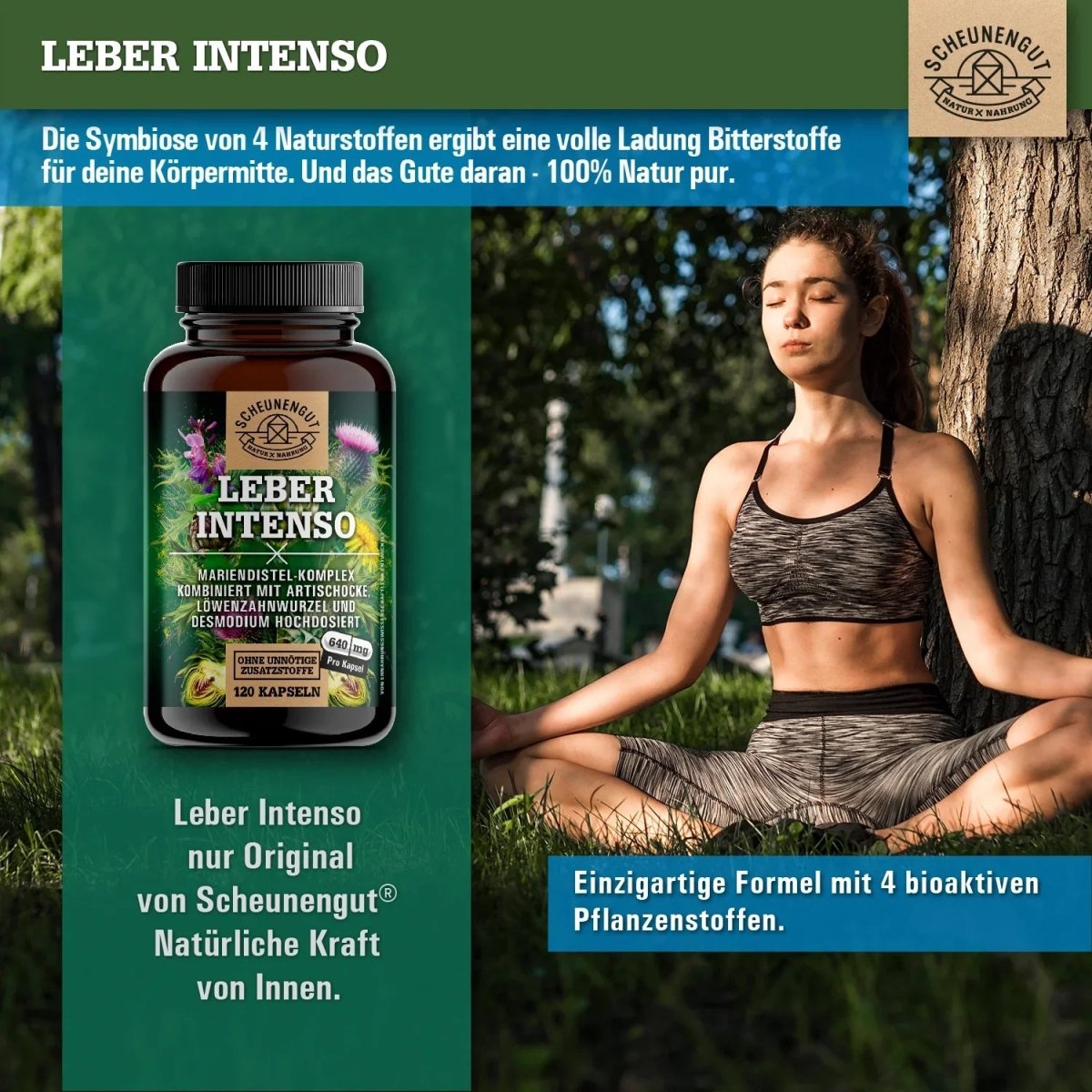 Pflanzen - Komplex mit Mariendistel, Artischocke, Löwenzahnwurzel und Desmodium Scheunengut - Shop