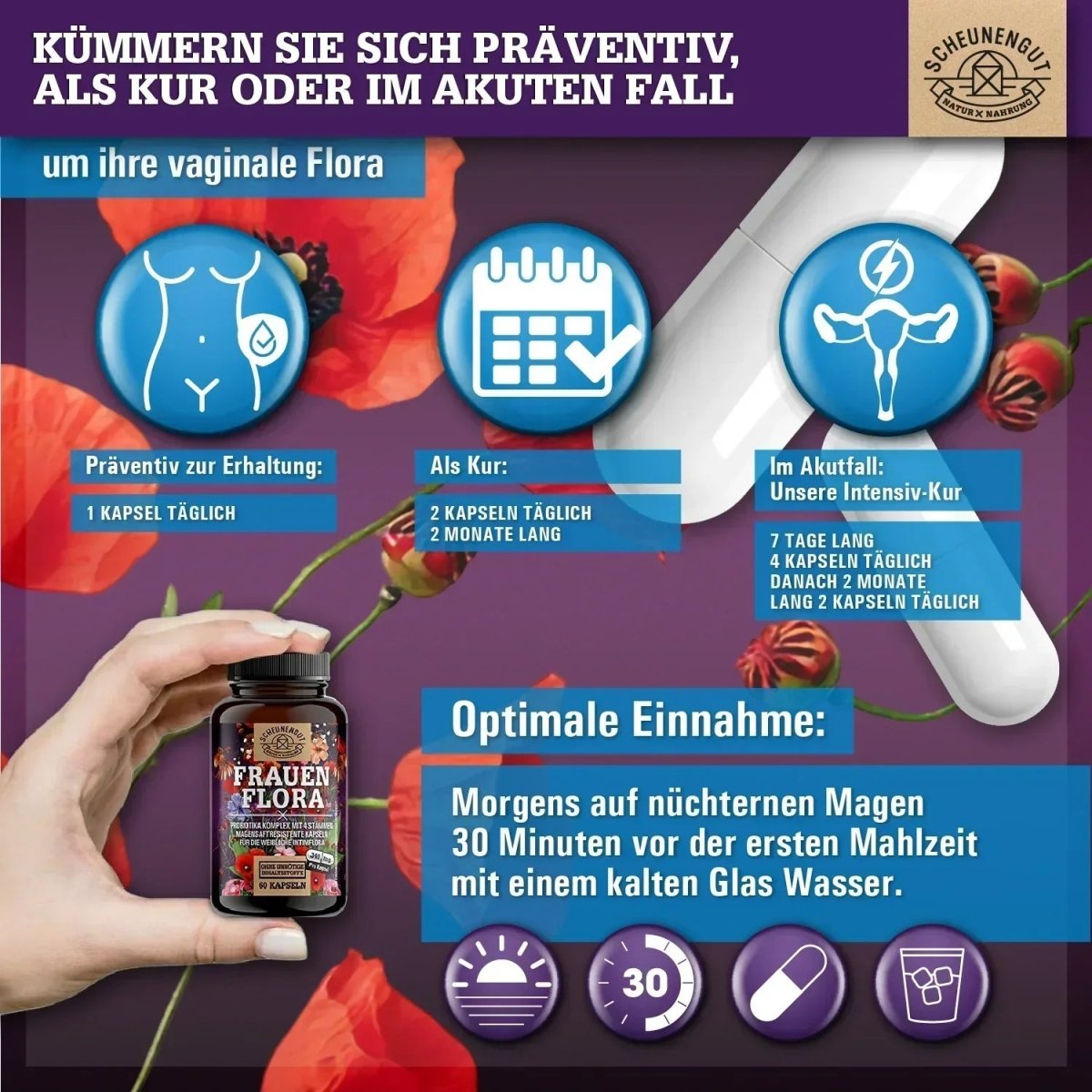 Probiotika Komplex für die weibliche Intimflora mit 40 Mrd. KBE/Tag Scheunengut - Shop