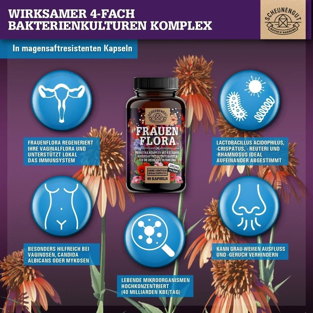 Probiotika Komplex für die weibliche Intimflora mit 40 Mrd. KBE/Tag Scheunengut - Shop