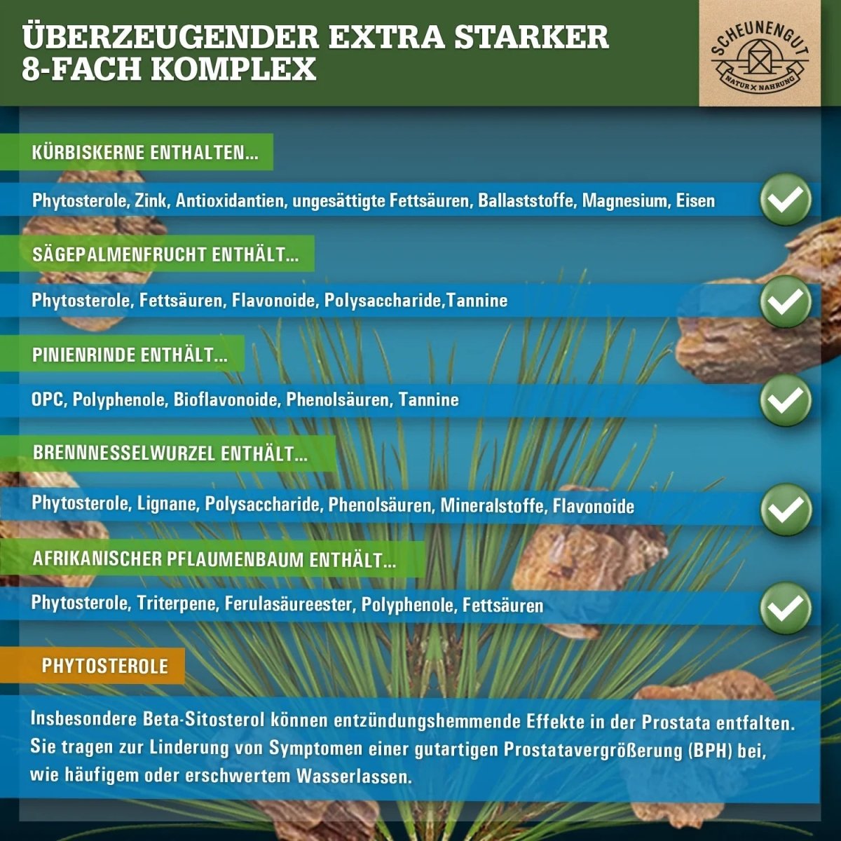 Prostata Komplex mit afrikanischem Pflaumenbaum, Sägepalme, Kürbiskern uvm. Scheunengut - Shop