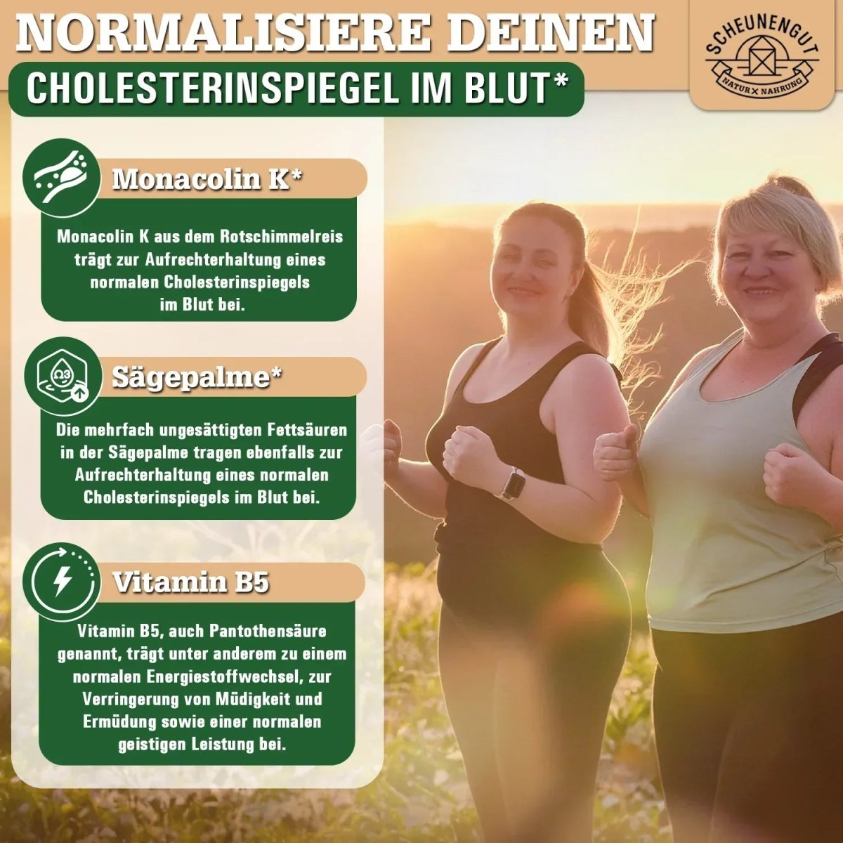 Roter Reis Vitalkomplex mit Monacolin K, schwarzer Knoblauch, Bergamotte uvm. Scheunengut - Shop