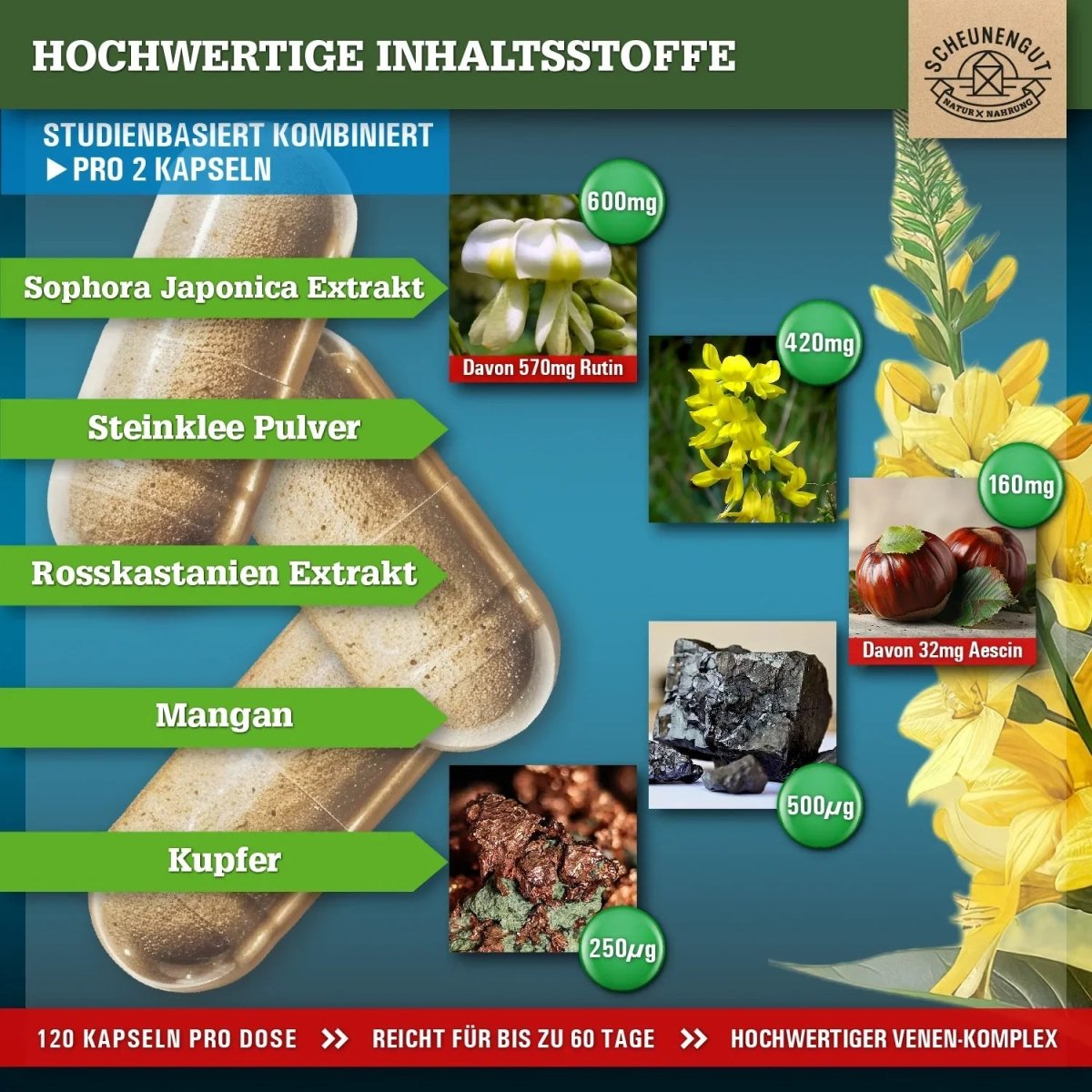 Rutin - Steinklee - Komplex abgestimmt mit Rosskastanie, Kupfer und Mangan Scheunengut - Shop