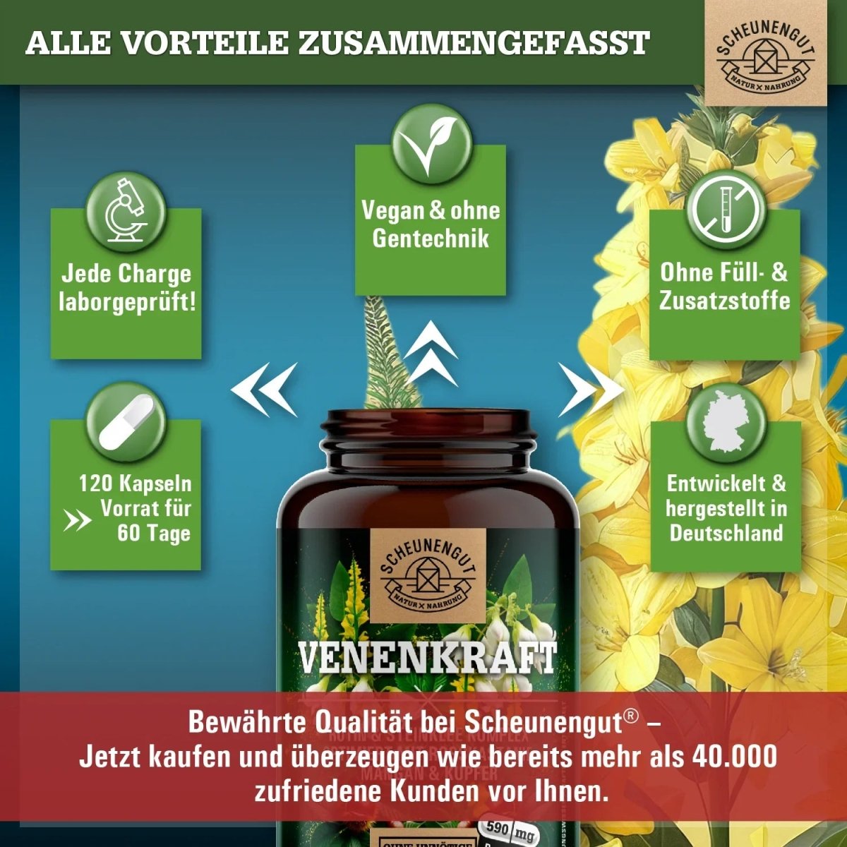 Rutin - Steinklee - Komplex abgestimmt mit Rosskastanie, Kupfer und Mangan Scheunengut - Shop