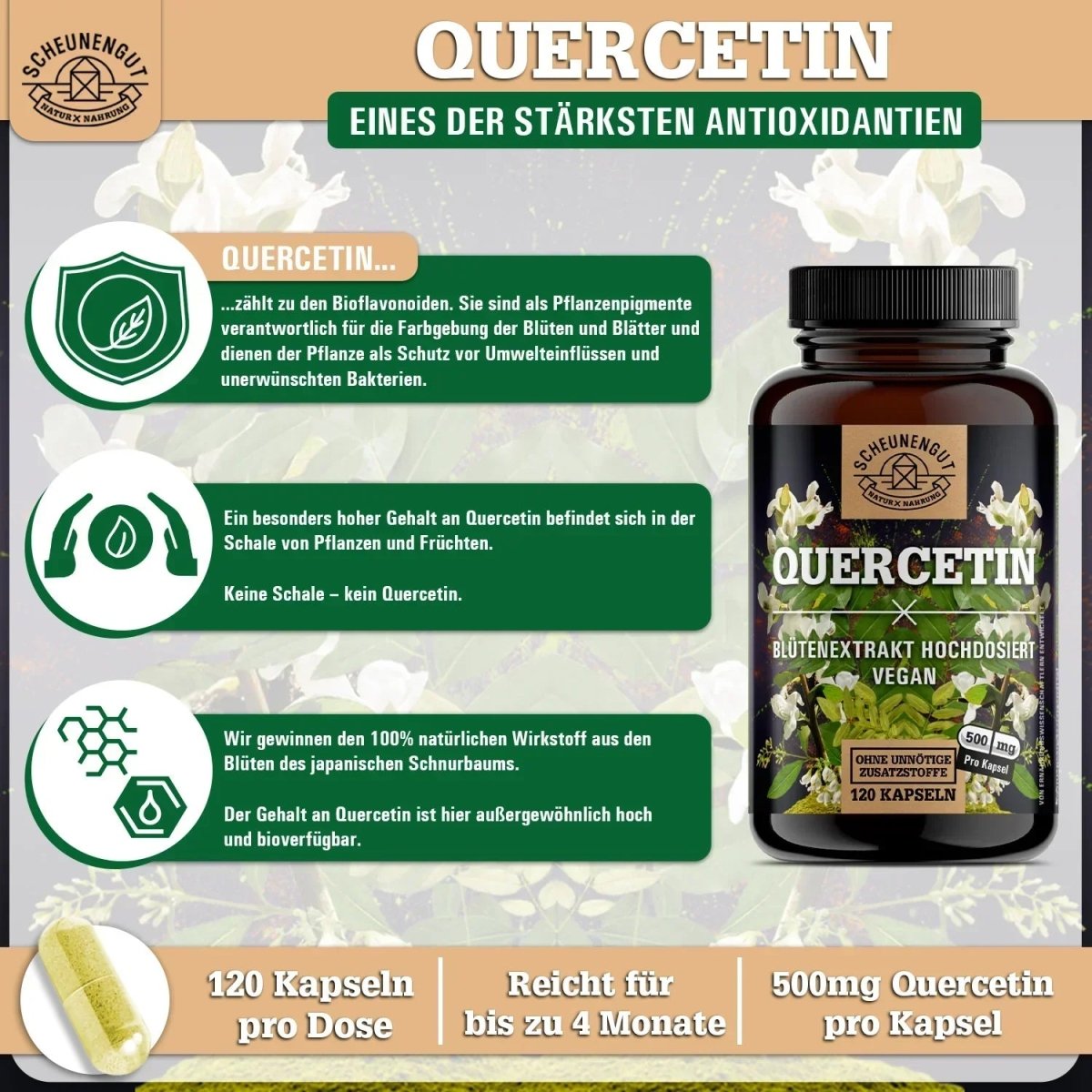 Sophora Japonica Extrakt mit garantierten 98% Quercetin Scheunengut - Shop