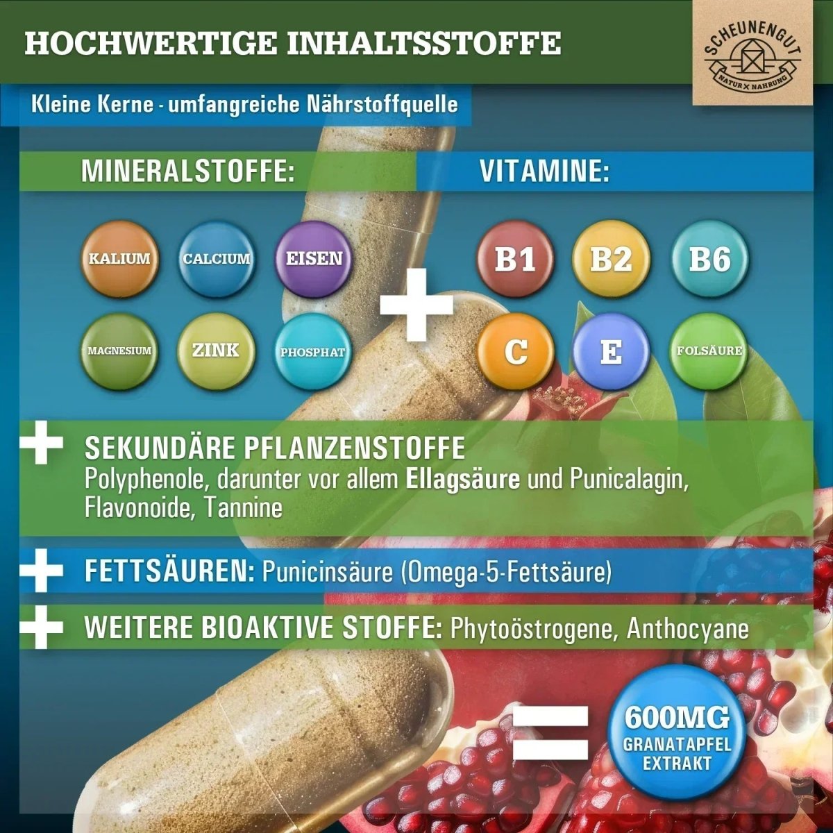 Spanischer Extrakt hochdosiert 45:1 mit 40% Ellagsäure Scheunengut - Shop