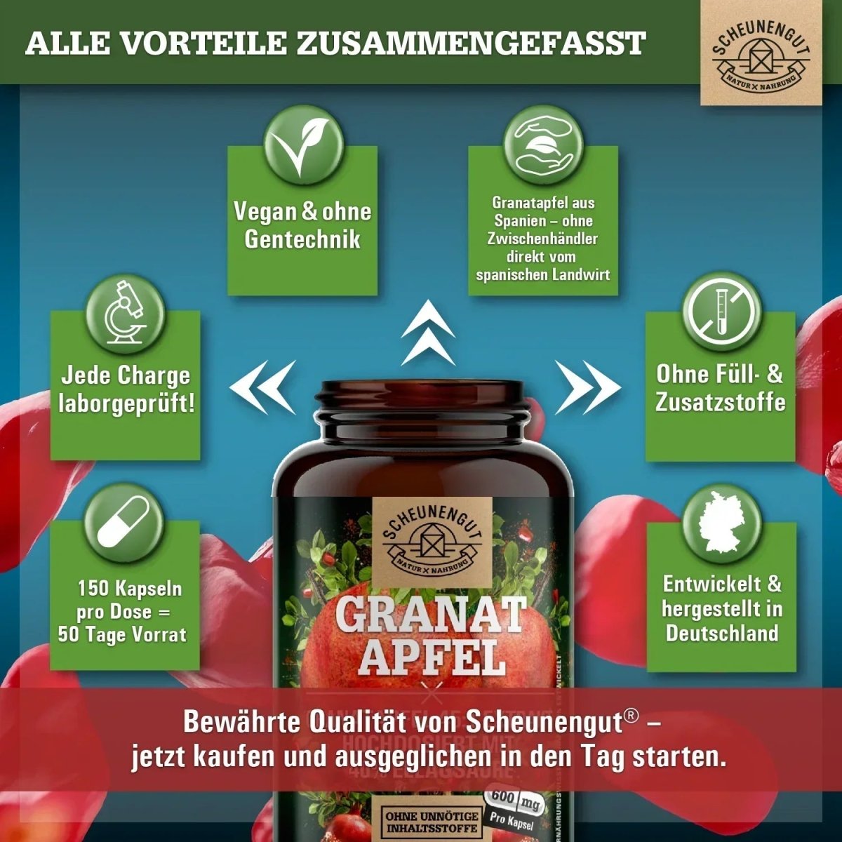 Spanischer Extrakt hochdosiert 45:1 mit 40% Ellagsäure Scheunengut - Shop