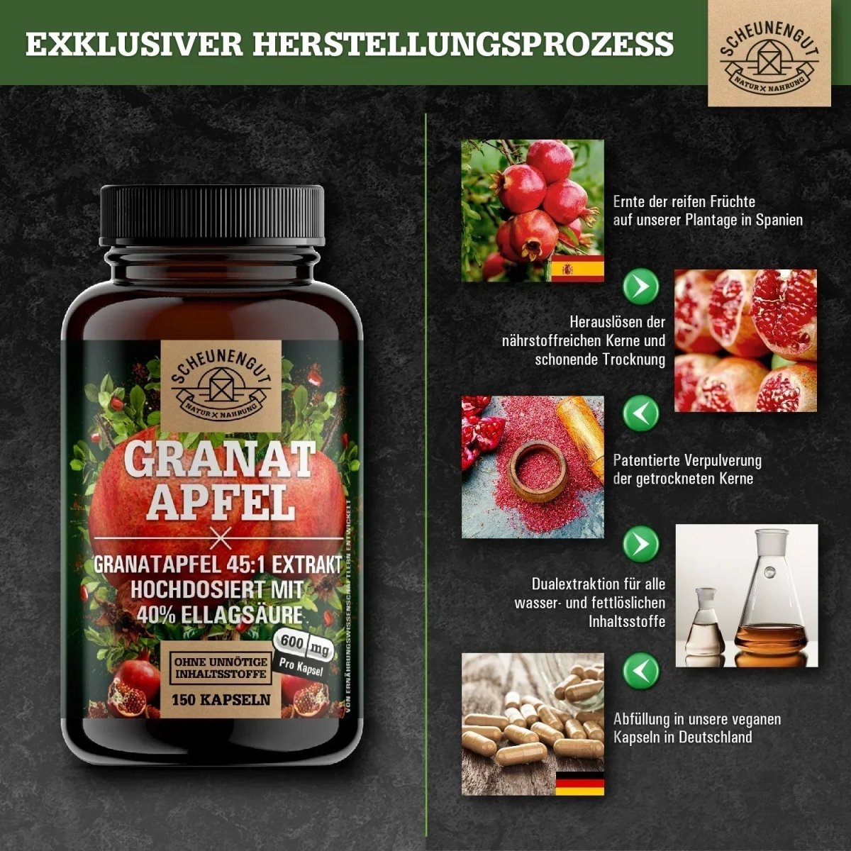 Spanischer Extrakt hochdosiert 45:1 mit 40% Ellagsäure Scheunengut - Shop