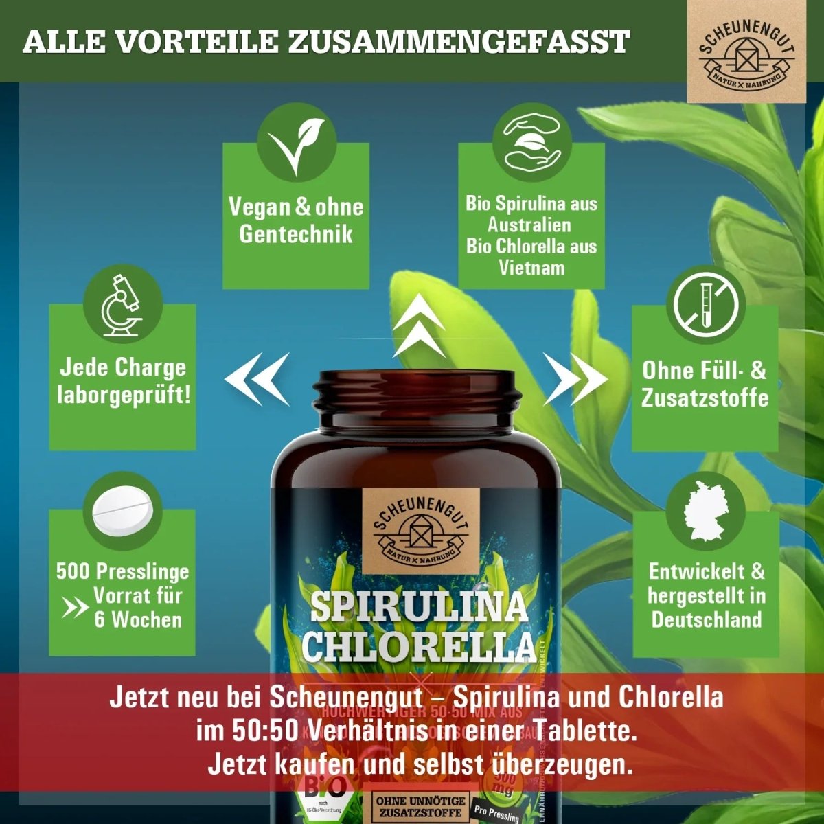 Spirulina Chlorella Presslinge in ausgezeichneter Bio - Qualität Scheunengut - Shop
