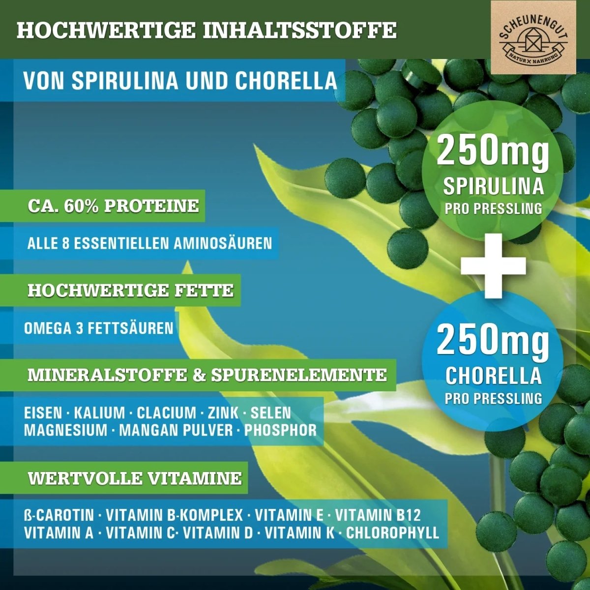 Spirulina Chlorella Presslinge in ausgezeichneter Bio - Qualität Scheunengut - Shop
