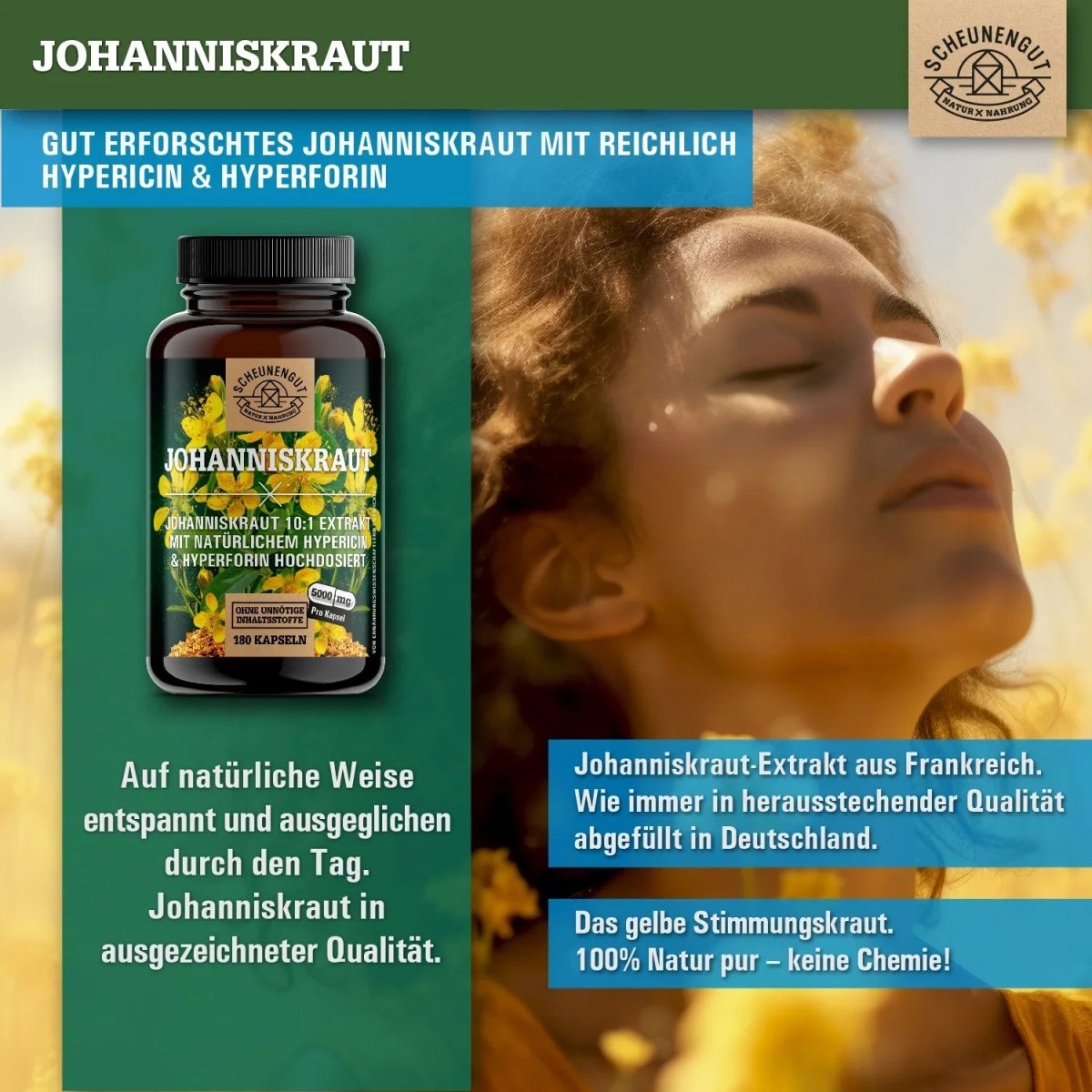 St John's Wort Extrakt hochdosiert 10:1 mit Hypericin & Hyperforin Scheunengut - Shop