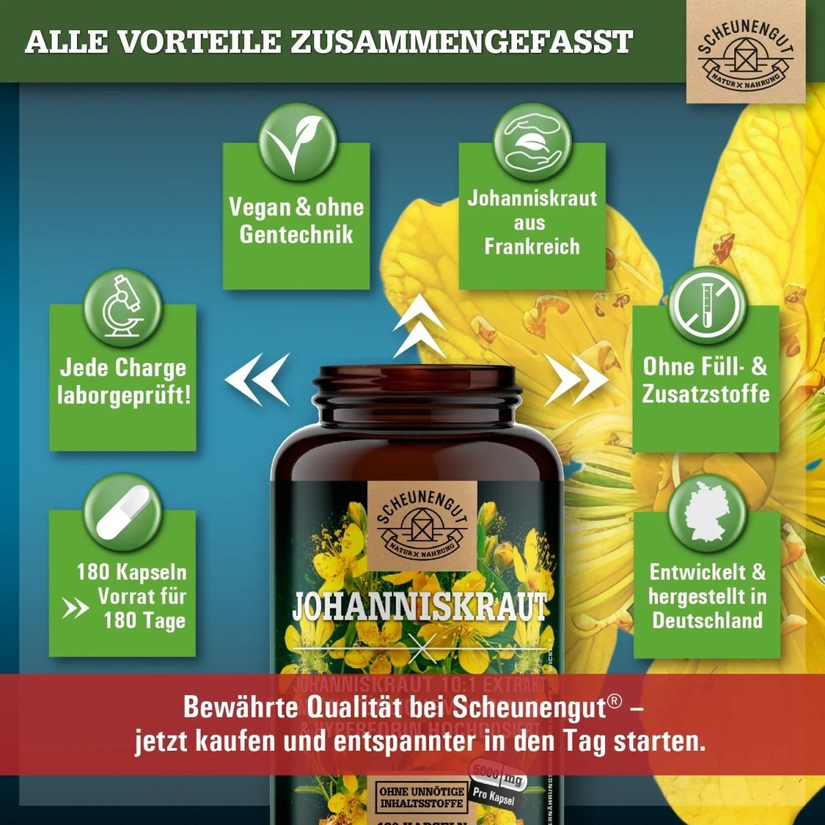 St John's Wort Extrakt hochdosiert 10:1 mit Hypericin & Hyperforin Scheunengut - Shop