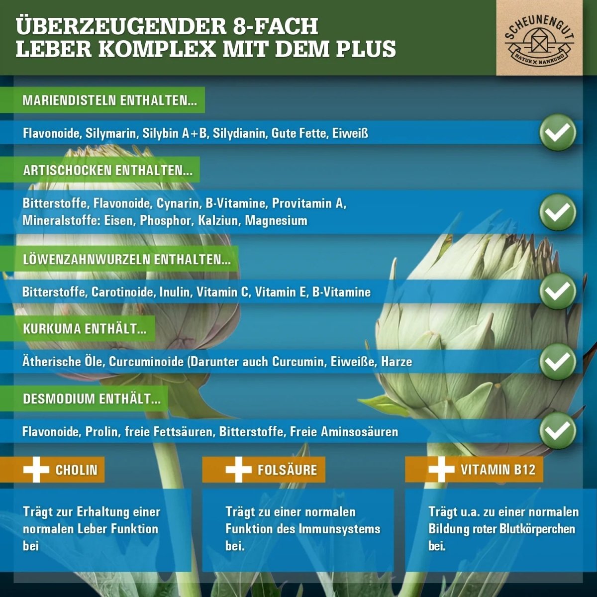 Starker Leber - Komplex mit Cholin, Mariendistel, Artischocke, Kurkuma uvm. Scheunengut - Shop