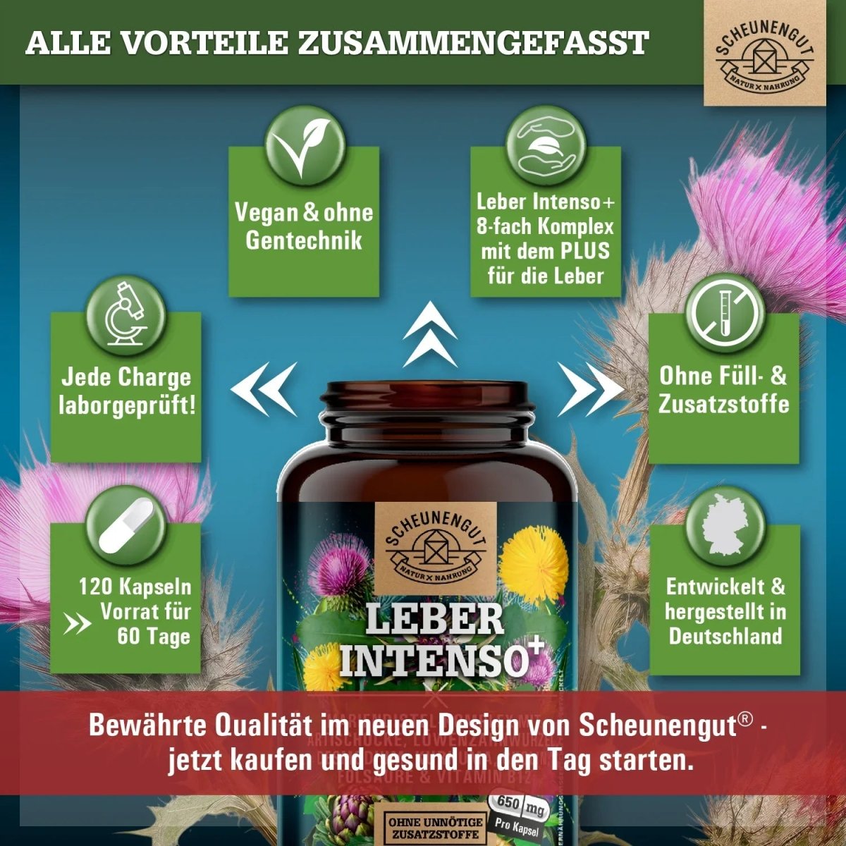 Starker Leber - Komplex mit Cholin, Mariendistel, Artischocke, Kurkuma uvm. Scheunengut - Shop