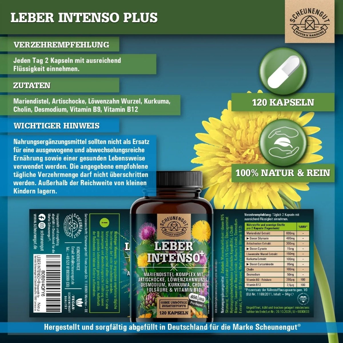 Starker Leber - Komplex mit Cholin, Mariendistel, Artischocke, Kurkuma uvm. Scheunengut - Shop