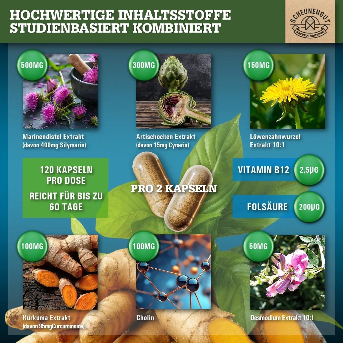 Starker Leber-Komplex mit Cholin, Mariendistel, Artischocke, Kurkuma uvm.