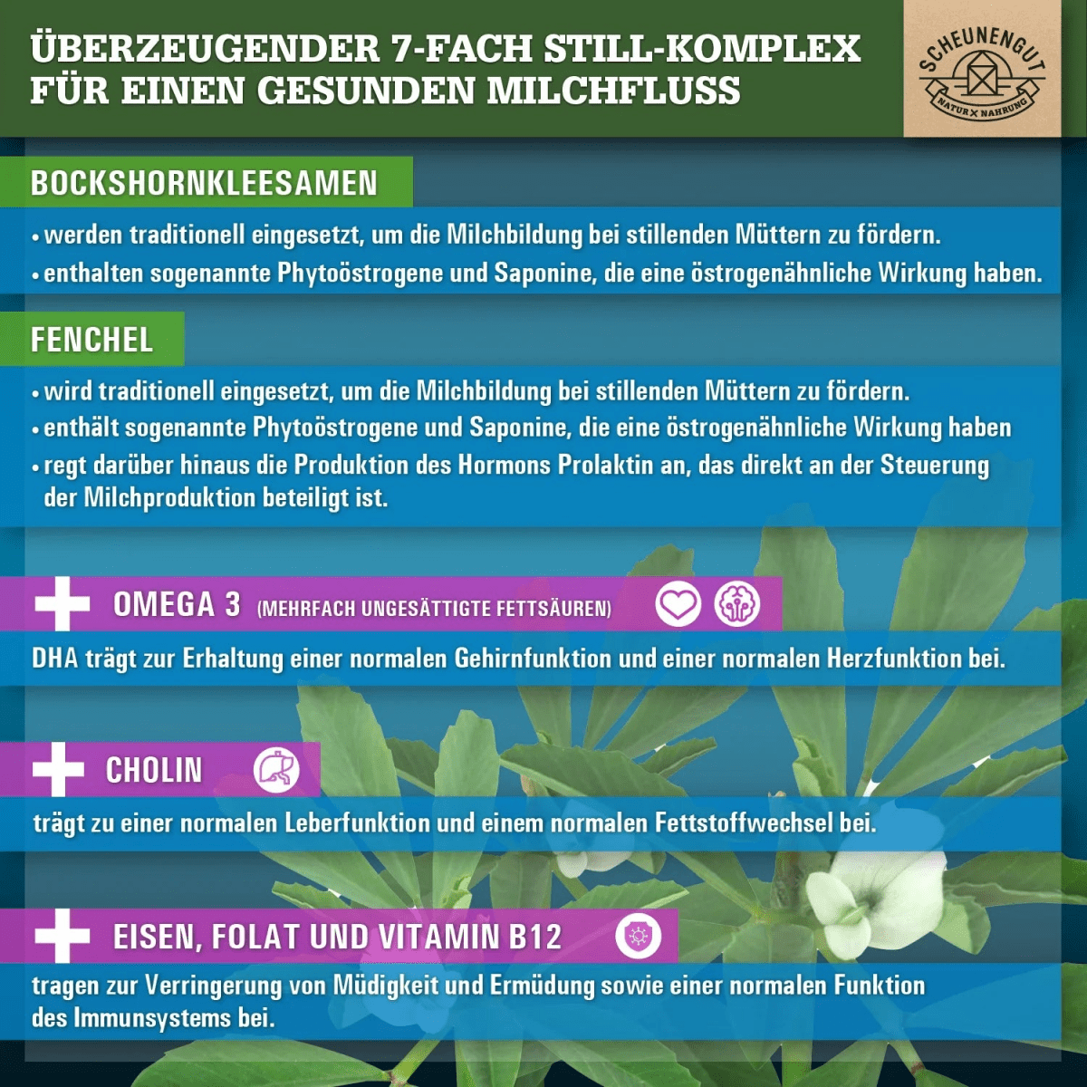 Still - Komplex mit Bockshornklee, Fenchel, Omega 3, DHA, Folsäure uvm. Scheunengut - Shop
