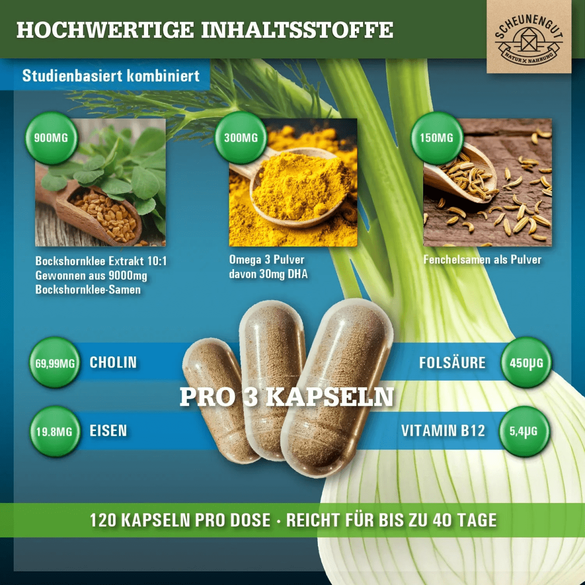 Still - Komplex mit Bockshornklee, Fenchel, Omega 3, DHA, Folsäure uvm. Scheunengut - Shop