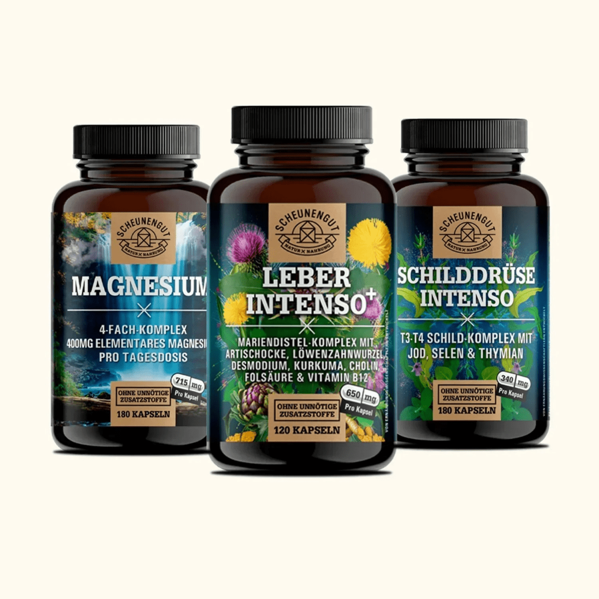 Stoffwechsel - und Energie - Komplettpaket Scheunengut - Shop