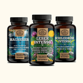 Metabolism powered – liver, thyroid & magnesium in harmony