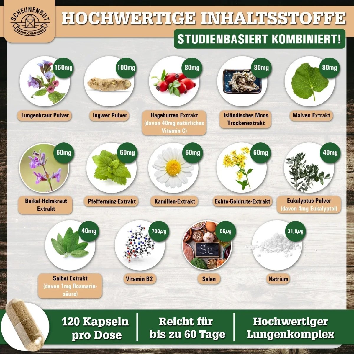 Umfangreicher Lungenkraut - Komplex optimiert mit Vitamin C & B2 und Selen Scheunengut - Shop