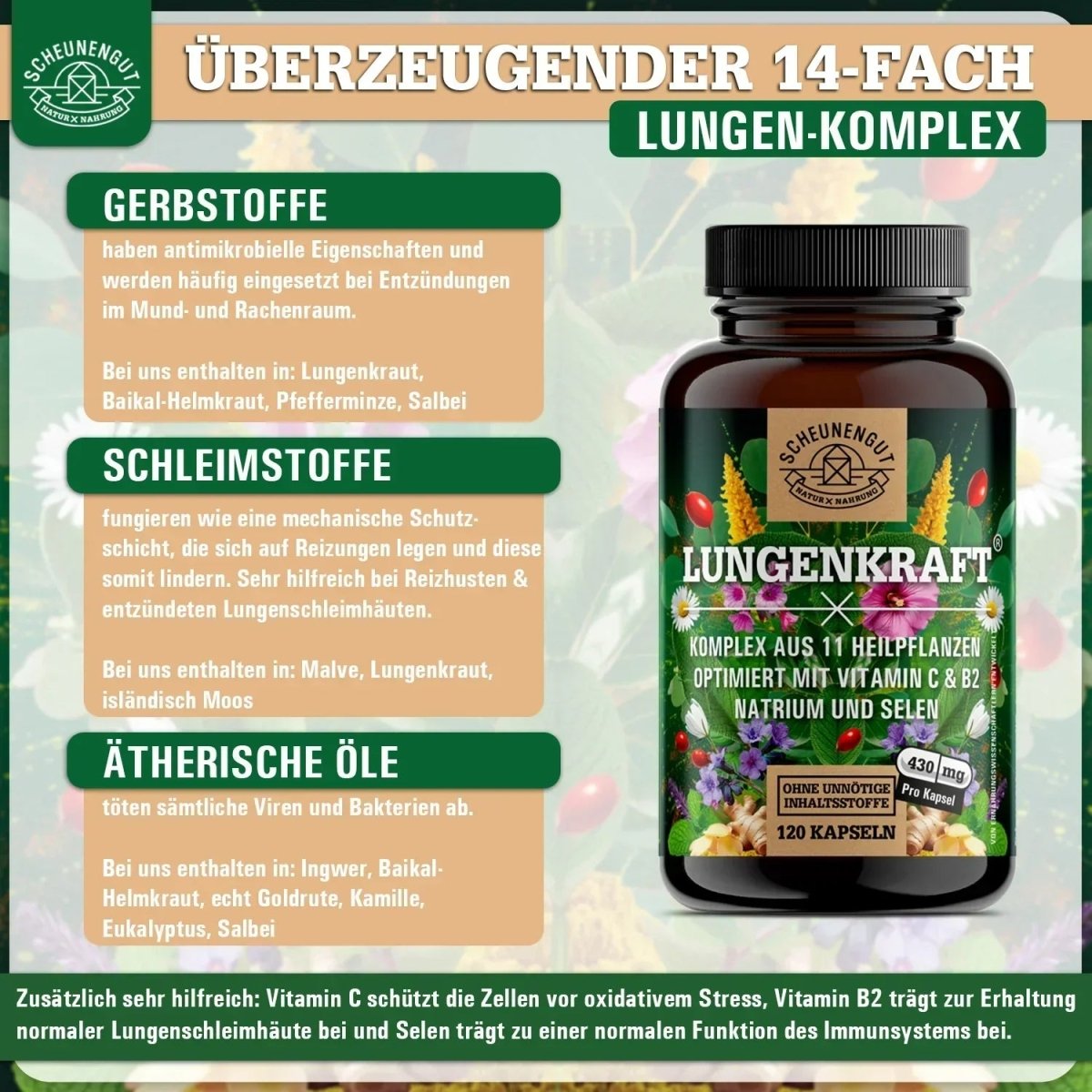 Umfangreicher Lungenkraut - Komplex optimiert mit Vitamin C & B2 und Selen Scheunengut - Shop