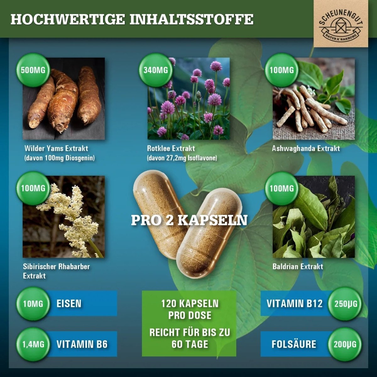 Wechseljahre Komplex mit Yamswurzel, Ashwagandha, Folsäure uvm. Scheunengut - Shop