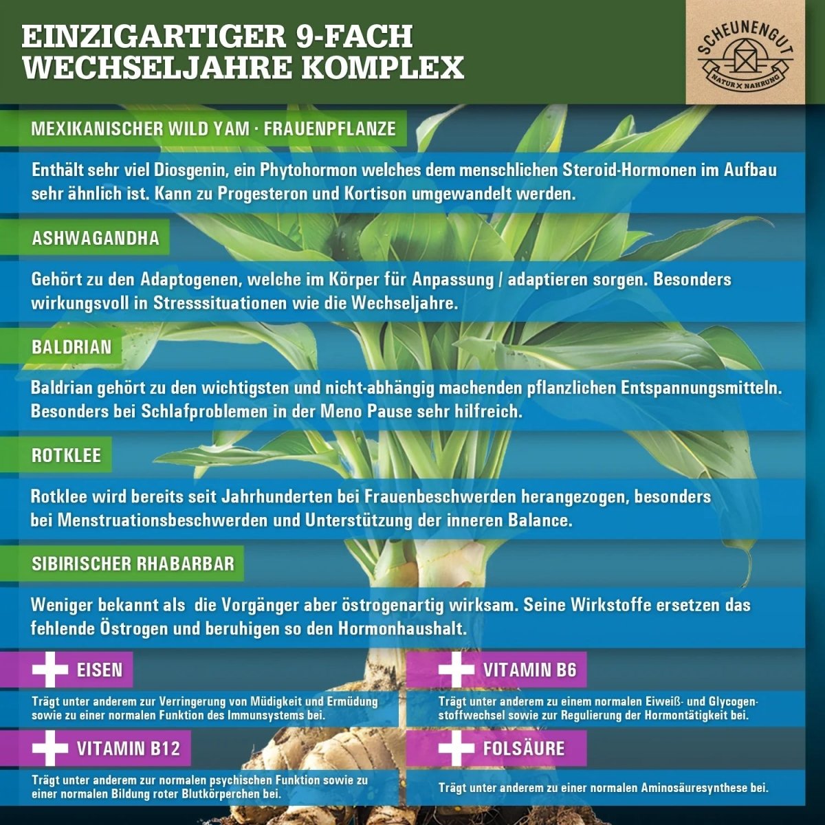 Wechseljahre Komplex mit Yamswurzel, Ashwagandha, Folsäure uvm. Scheunengut - Shop