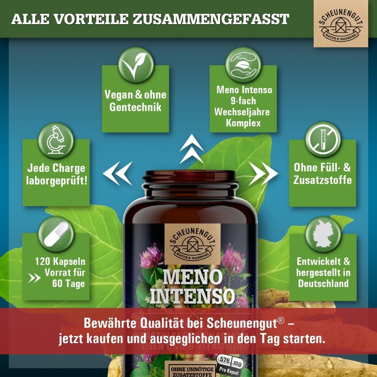 Wechseljahre Komplex mit Yamswurzel, Ashwagandha, Folsäure uvm. Scheunengut - Shop