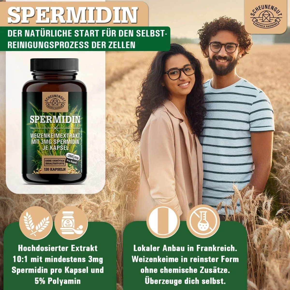 Weizenkeim Extrakt mit 3mg Spermidin je Kapsel und 5% Polyamin Scheunengut - Shop