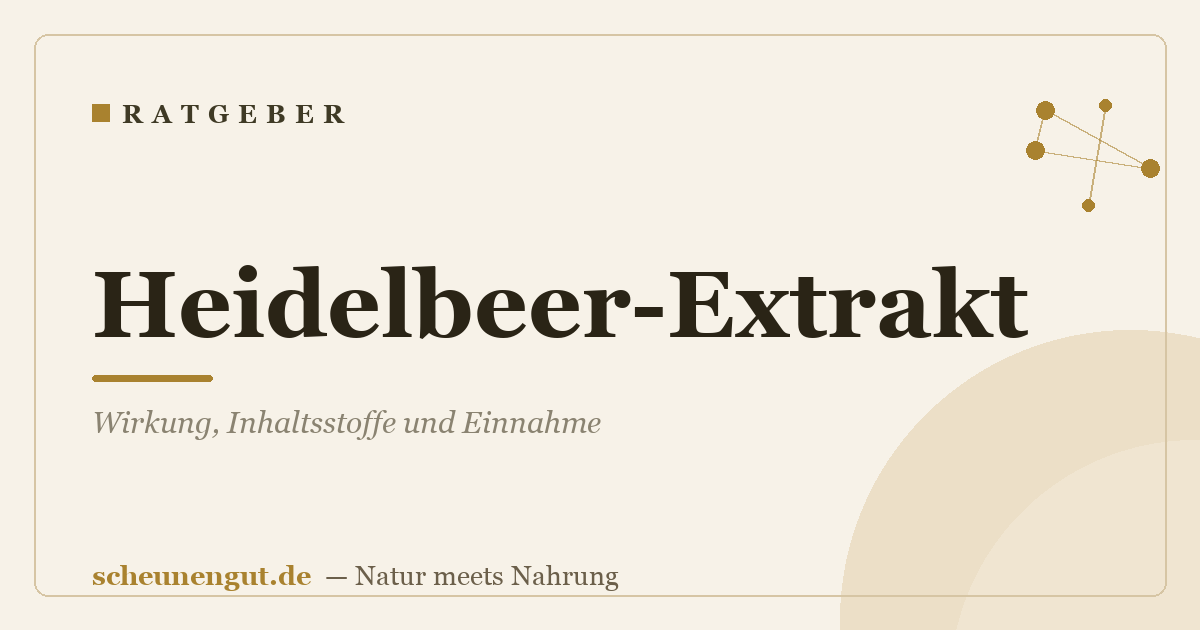Heidelbeer-Extrakt: Wirkung, Inhaltsstoffe und Einnahme