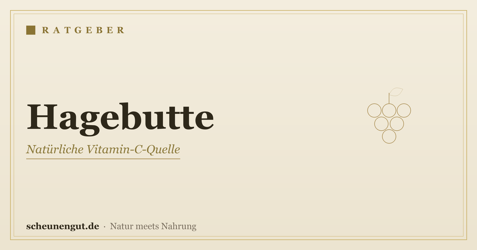 Hagebutte: Vitamin C & Anwendung – Ratgeber von Scheunengut