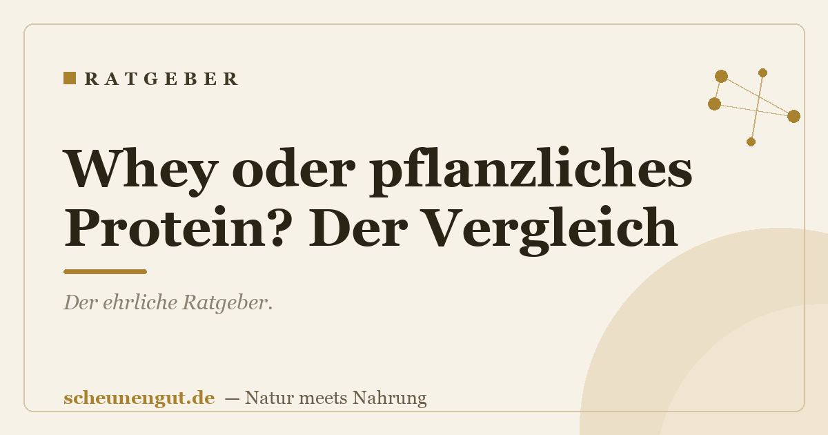 Whey oder pflanzliches Protein? Der Vergleich
