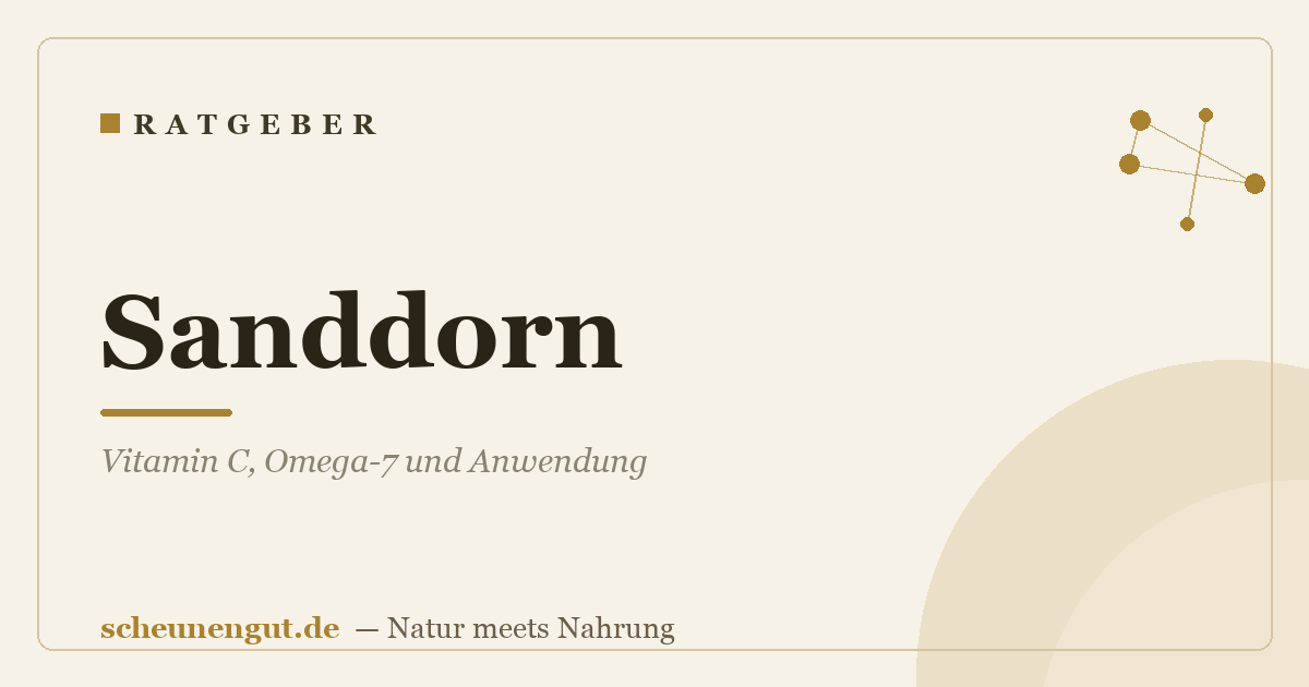 Sanddorn: Vitamin C, Omega-7 und Anwendung