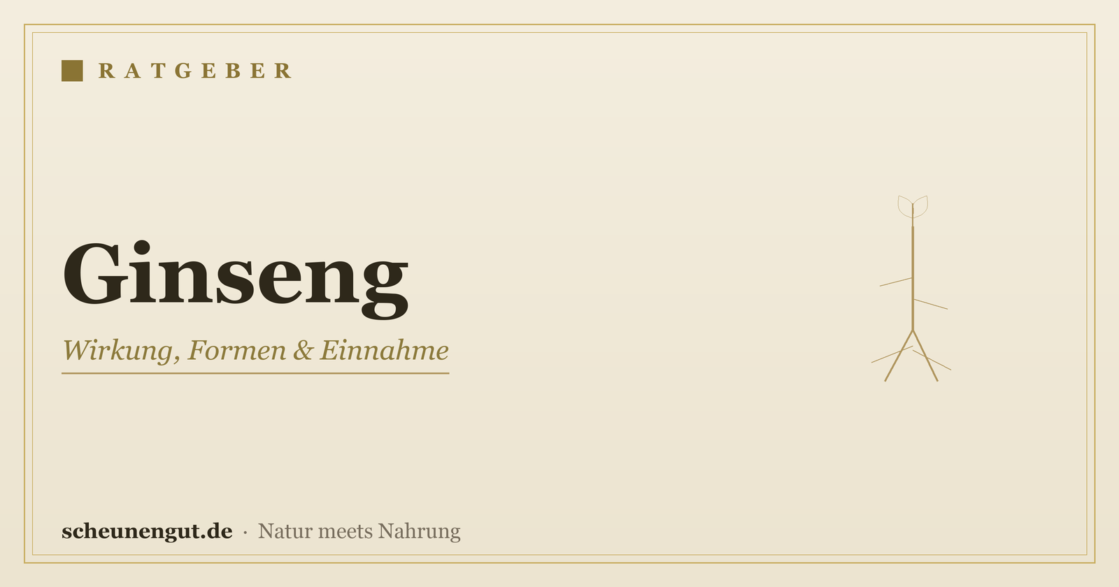 Ginseng – Ratgeber von Scheunengut