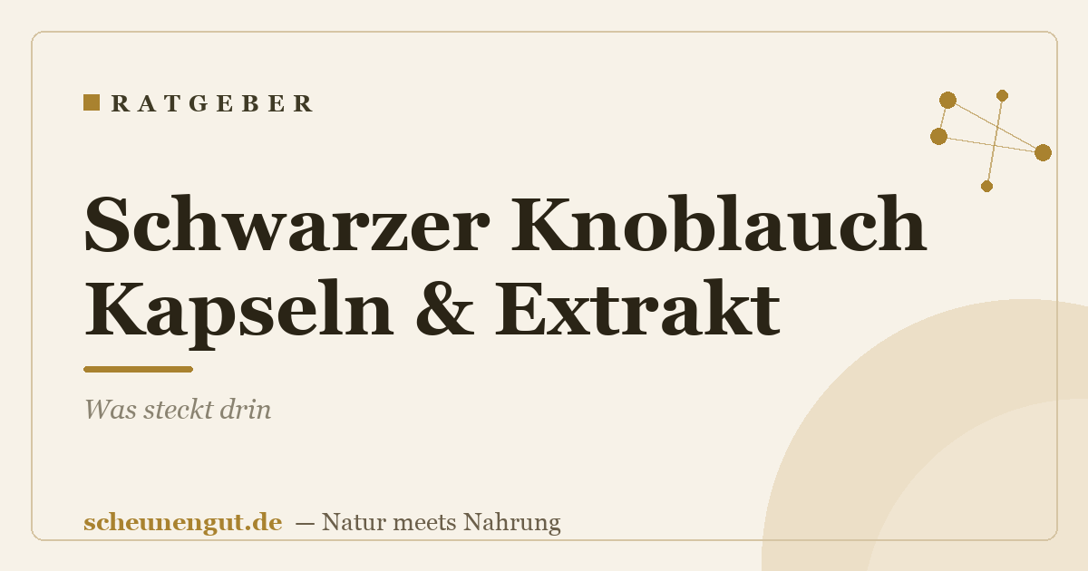 Schwarzer Knoblauch Kapseln & Extrakt: Was steckt drin
