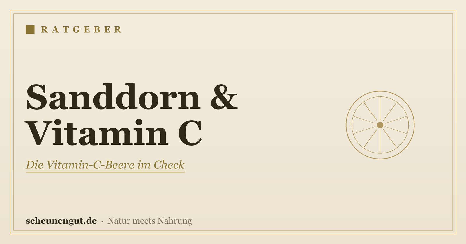 Sanddorn: Vitamin C & Wirkung im Überblick – Ratgeber von Scheunengut