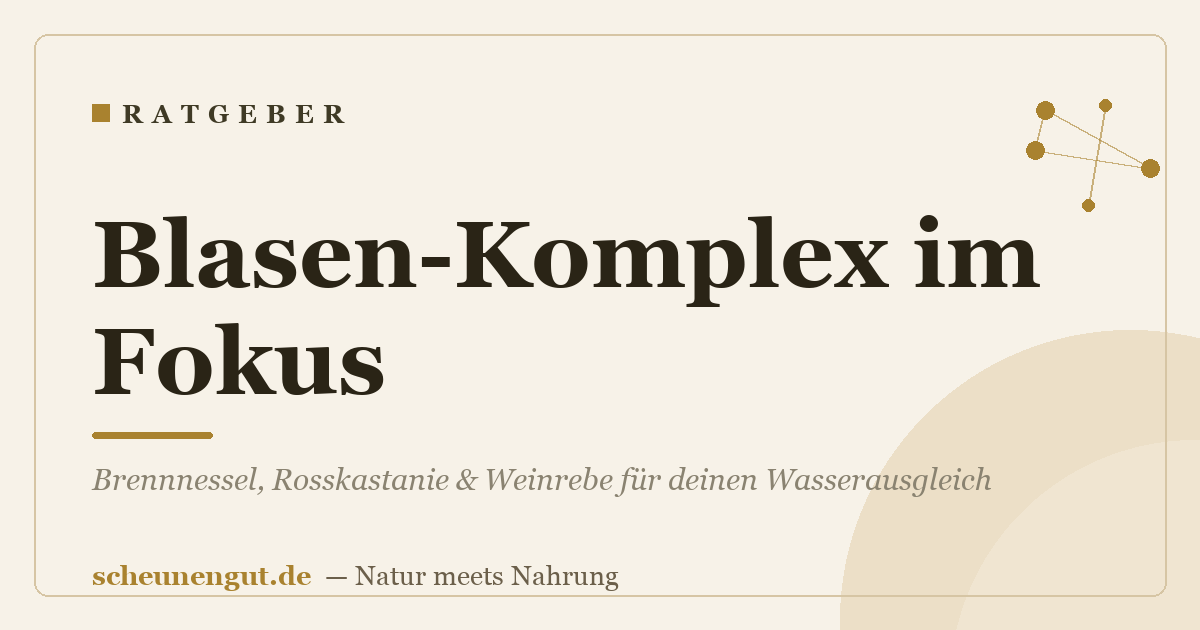 Blasen-Komplex im Fokus: Brennnessel, Rosskastanie & Weinrebe für deinen Wasserausgleich