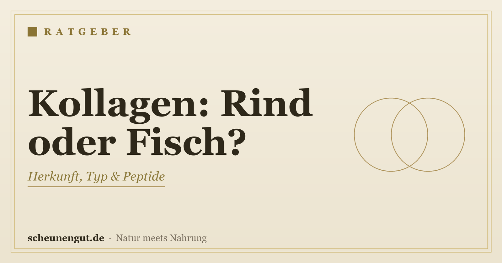 Kollagen: Rind oder Fisch (marin)? Der Vergleich – Ratgeber von Scheunengut