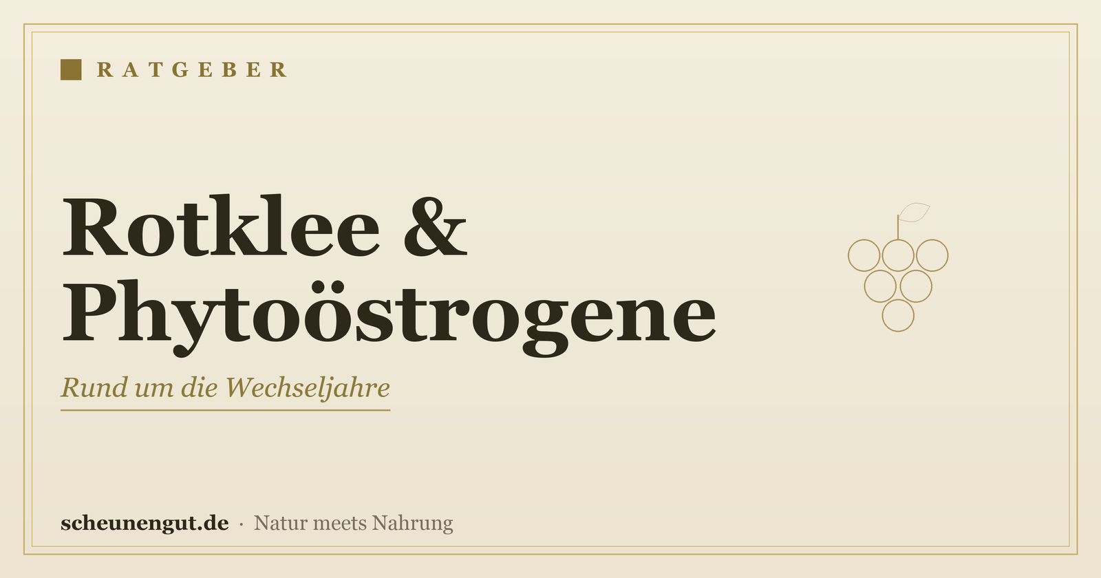 Rotklee & Phytoöstrogene in den Wechseljahren – Ratgeber von Scheunengut