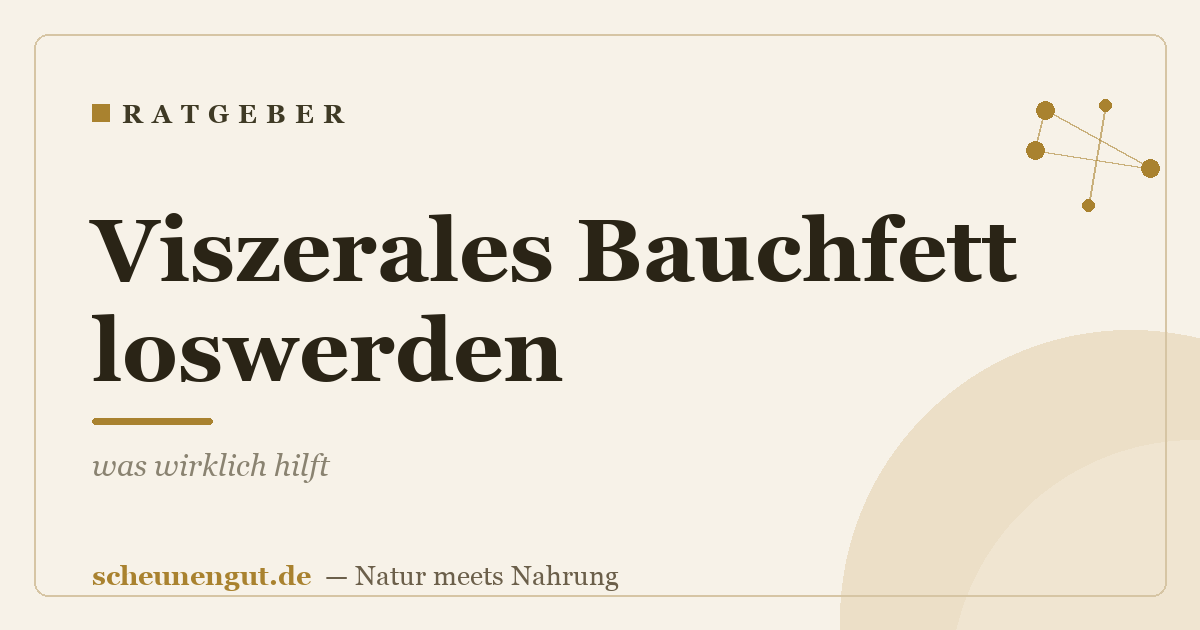 Viszerales Bauchfett loswerden – was wirklich hilft