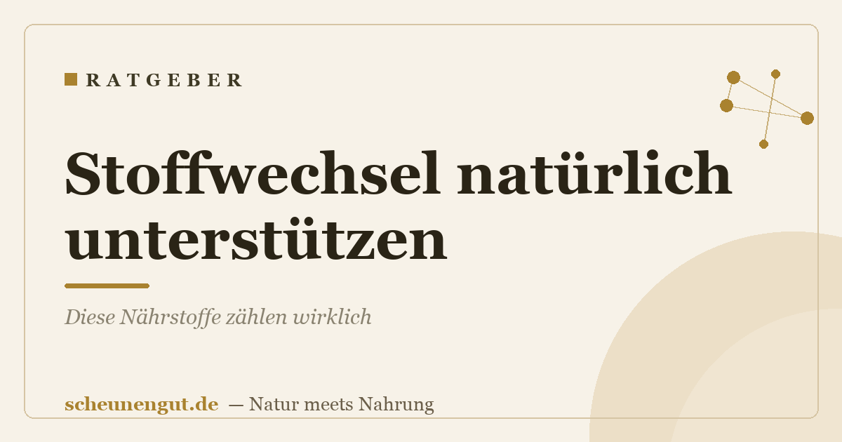 Stoffwechsel natürlich unterstützen: Diese Nährstoffe zählen wirklich