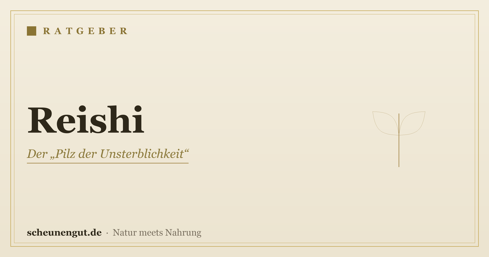 Reishi: Wirkung & Anwendung – Ratgeber von Scheunengut