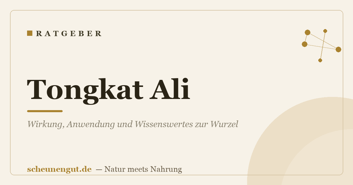 Tongkat Ali: Wirkung, Anwendung und Wissenswertes zur Wurzel