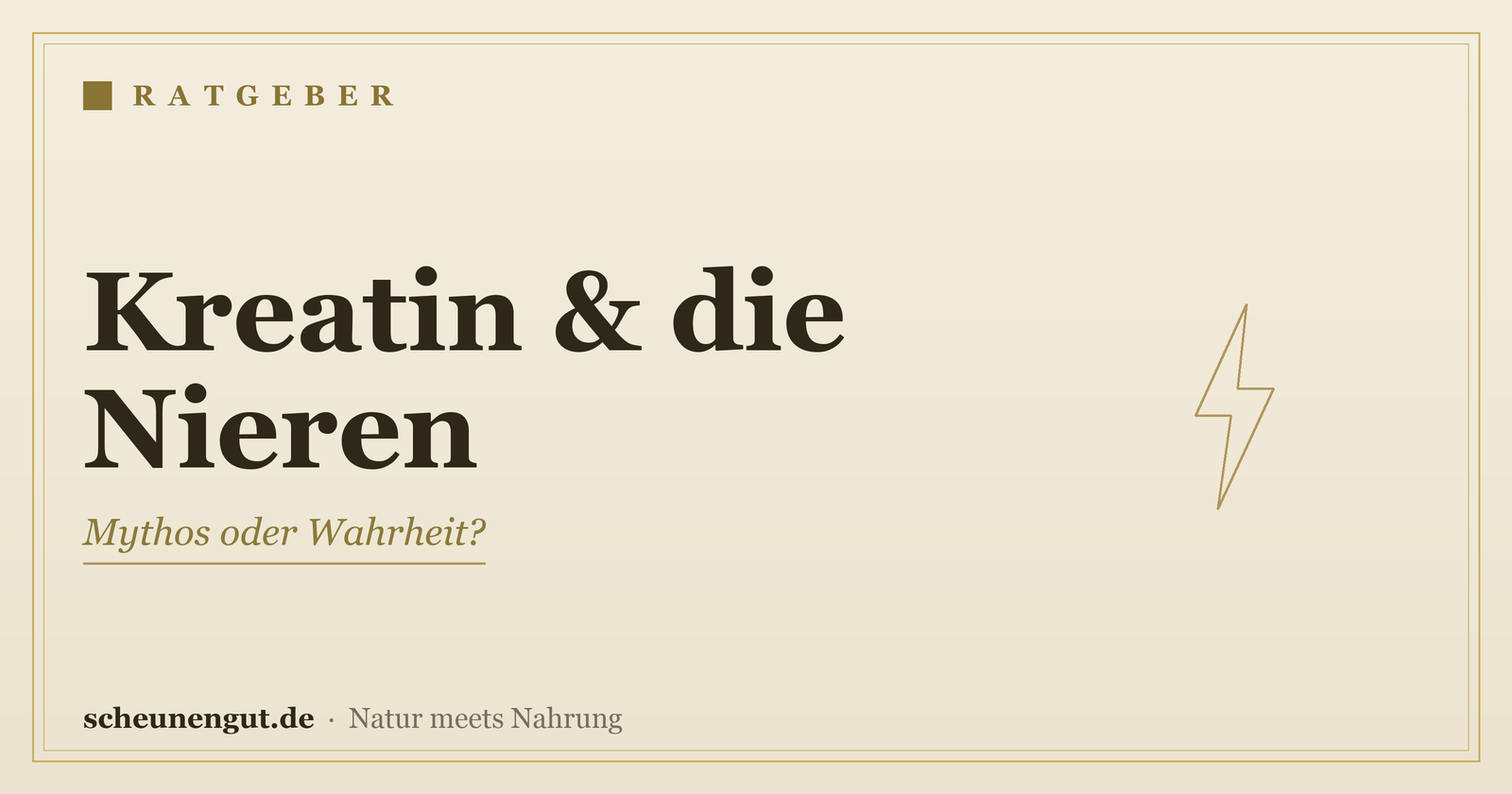 Kreatin: Nebenwirkungen & Nieren-Mythos – Ratgeber von Scheunengut